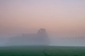 Morning fog in the Havikerwaard