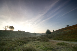 Path through the Posbank