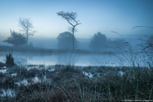 Hatertse vennen