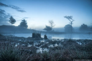 Hatertse vennen