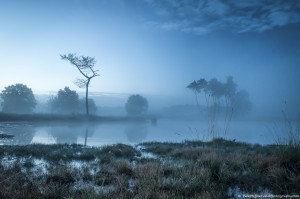 Hatertse vennen