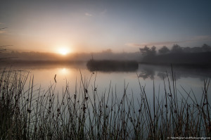 Hatertse vennen