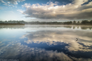 Hatertse vennen