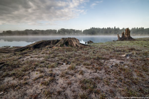 Hatertse vennen