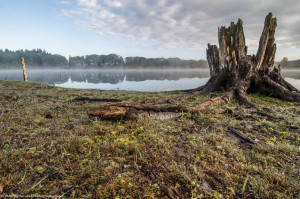 Hatertse vennen