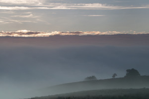 Rays penetrating through the fog