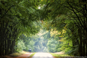 Through the first autumn rain