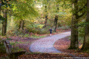 Autumn run