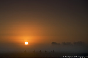 Cycling to school at sunrise