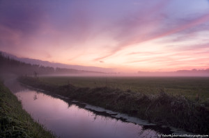 Purple sunset