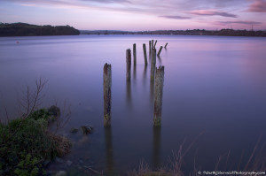 Poles at Cheekpoint