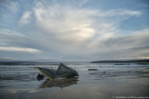 Washed upon the shore