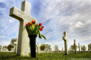 Dutch tulips