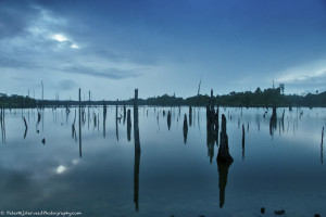 Blue hour on lake Brokopondo