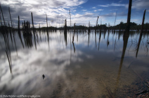 Cloud reflections