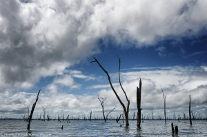 Lake Brokopondo