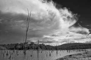 Rain on the way