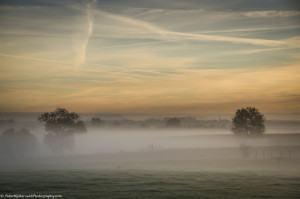 Autumn fog