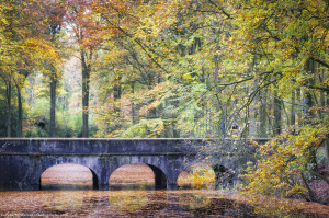 Bridge between summer and winter