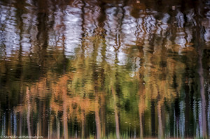 Autumn reflections