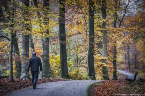 Autumn walk